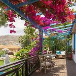 酒店 Sabrinas Haus - Adult Only +14 马尔马里斯