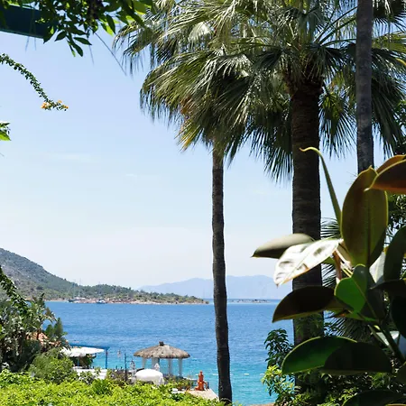 Sabrinas Haus - Adult Only +14 말마리스