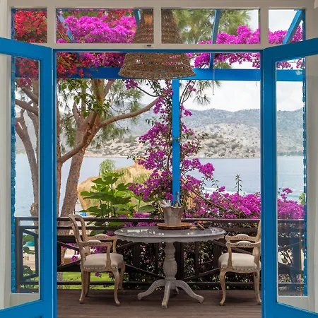 Sabrinas Haus - Adult Only +14 4* 말마리스