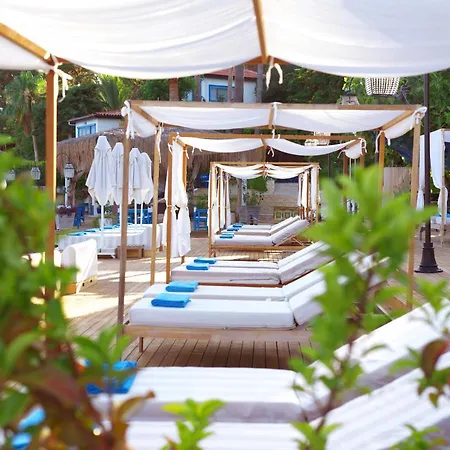 Sabrinas Haus - Adult Only +14 4*